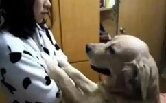 第一炉香在线完整版免费观看